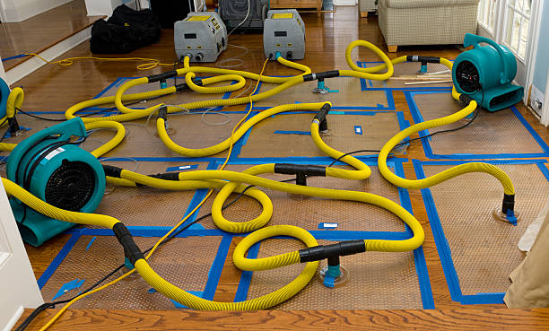 Professional Burst Pipe Water Damage technician working in Kenvil, NJ